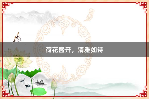 荷花盛开，清雅如诗
