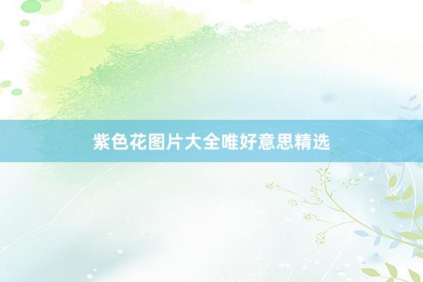 紫色花图片大全唯好意思精选