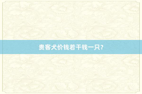 贵客犬价钱若干钱一只?
