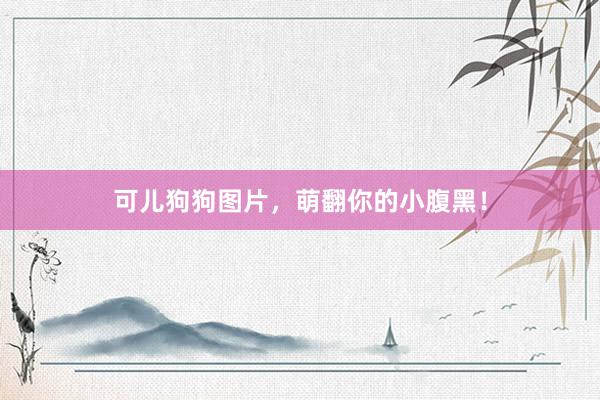 可儿狗狗图片，萌翻你的小腹黑！