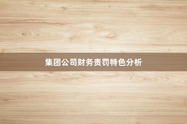 集团公司财务责罚特色分析